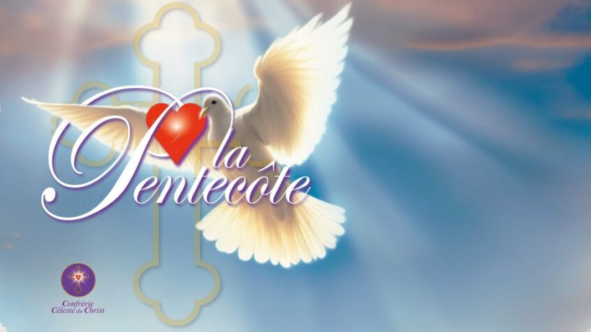 Image représentant une colombe en vol ayant les ailes déployées sur un fond bleu. Une lumière venant du haut de l’image illumine l’ensemble de ses rayons. La colombe traverse la croix évidée de la Confrérie Céleste du Christ, qui est placée en arrière-plan sur la gauche de la colombe. Seul le cœur rouge est plein et semble être amené par la colombe. Le logo de la Confrérie Céleste du Christ est placé en bas de l’image à gauche.