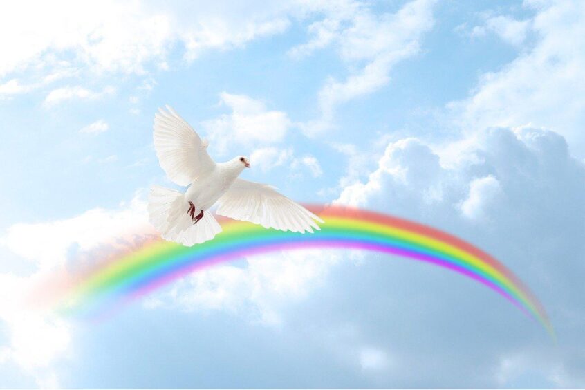 Image représentant une colombe en vol ayant les ailes déployées devant un arc en ciel sur un fond représentant un ciel bleu avec des nuages blancs.
